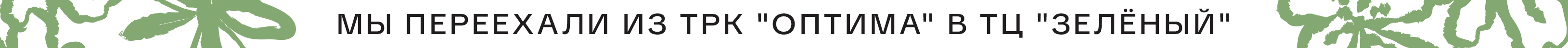 Открытие магазина Мир Сумок